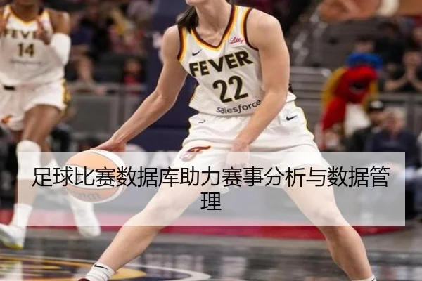 足球比赛数据库助力赛事分析与数据管理