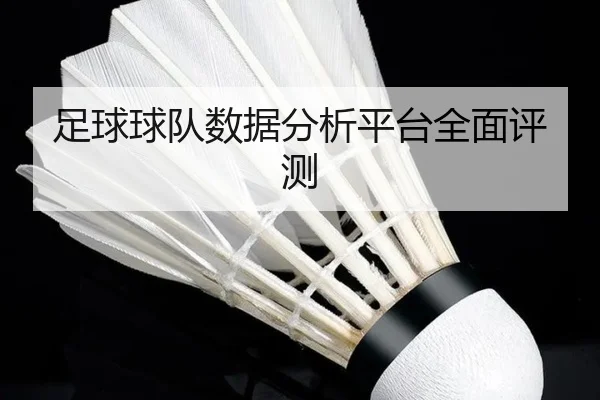 足球球队数据分析平台全面评测