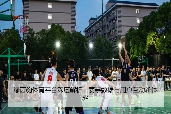 绿茵豹体育平台深度解析：赛事数据与用户互动新体验