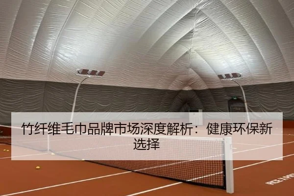 竹纤维毛巾品牌市场深度解析：健康环保新选择