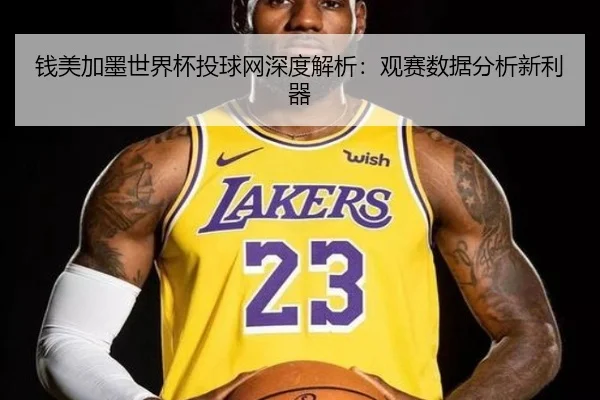 钱美加墨世界杯投球网深度解析：观赛数据分析新利器